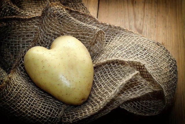 potato-3548557640 potato-3548557640